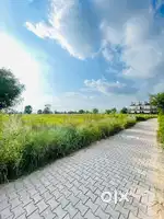 5 Biswa for plot sale Near VardhamanChowk baddi ,in villageGullarwalla