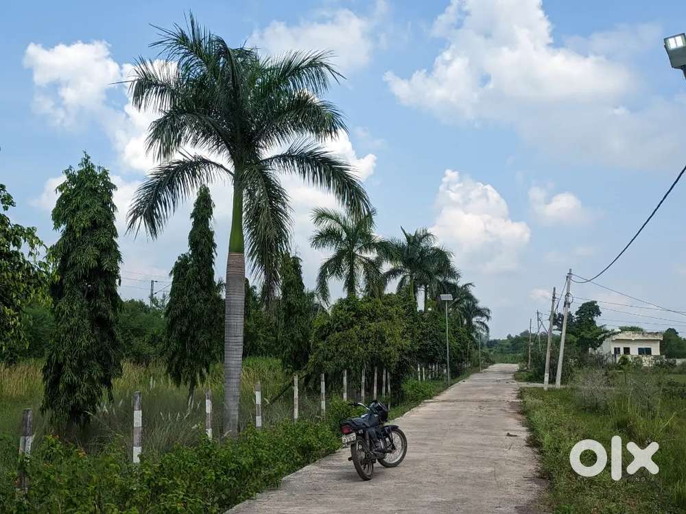 Plot मात्र 4 लाख 80 हज़ार मैं ( बरेला से मंडला रोड)