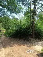 12 Cent and one old house for sale in korani