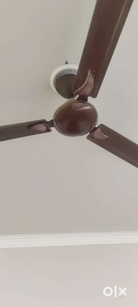 Ceiling Fan