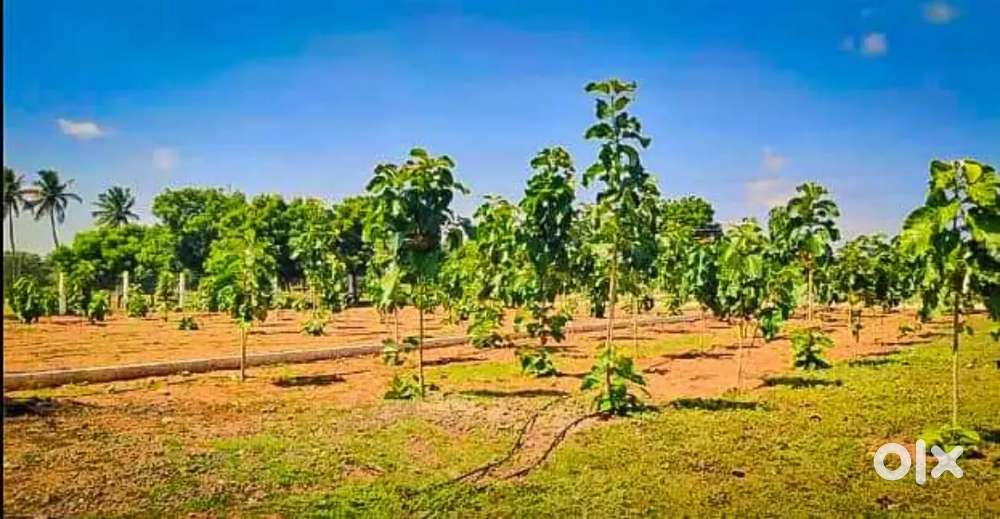 Low budget project near othakalamdapam