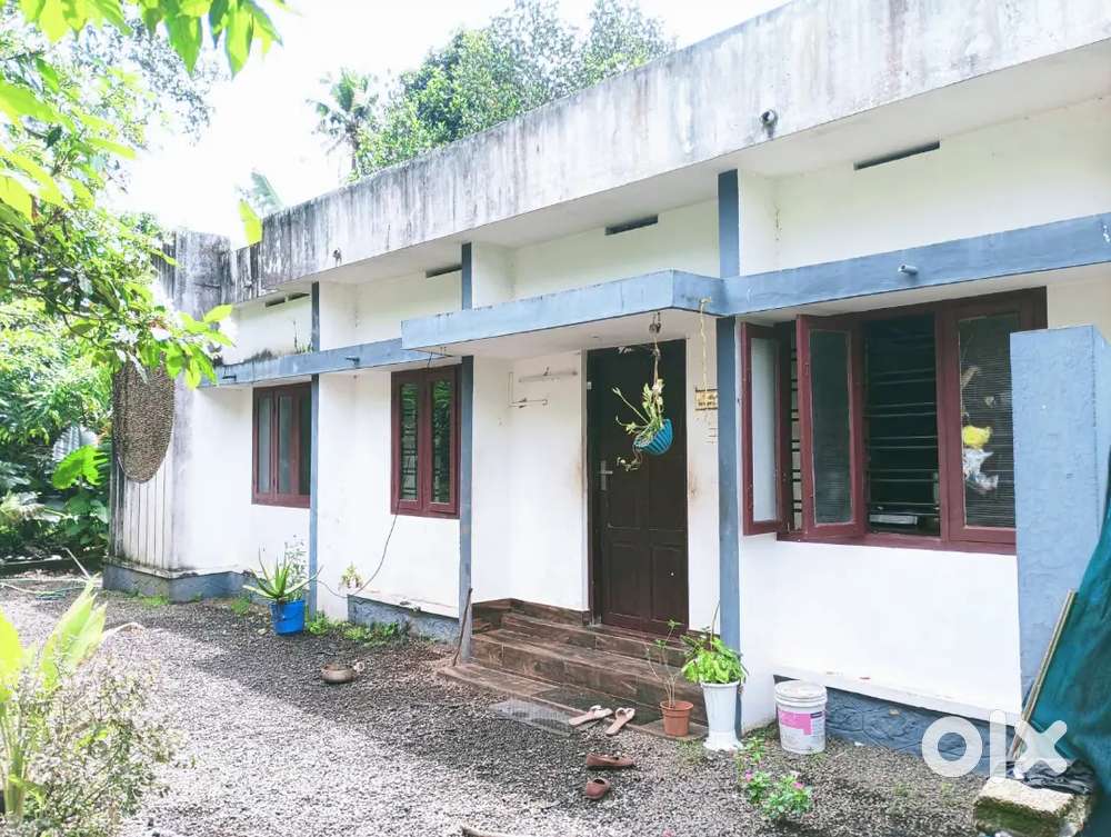 House for Rent