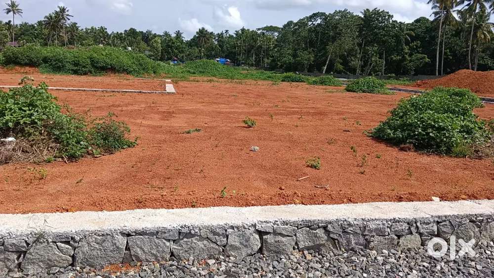 ANGAMALY NEAR APPOLLO HOSPITAL 4,5,6,8,10 CENT AFFORDABLE