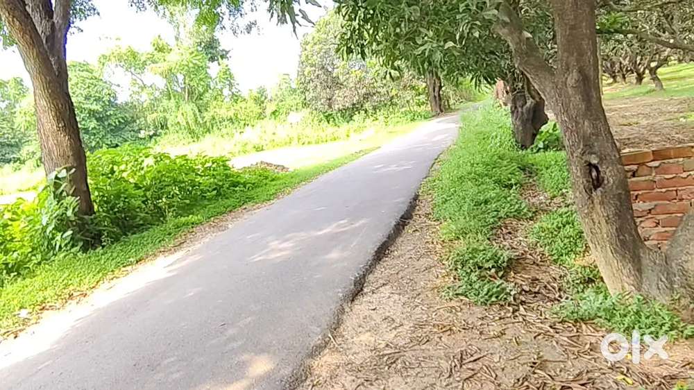 मार्केट एरिया में बढ़िया लोकेशन – दुकानों के लिए जमीन