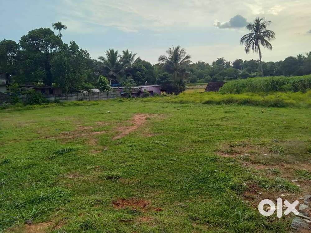 Fascinating view of house plots projects at Kallekkad