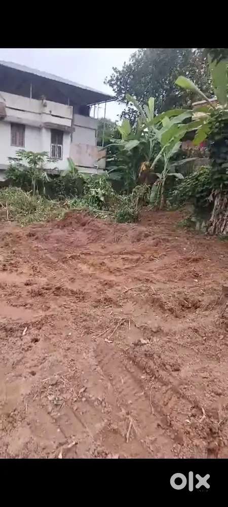 4cent 5 cent and 6 cent plot pongumood frivandrum