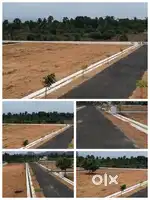 கொங்கணாபுரம் - சங்ககிரி highway புதிய டோல்கேட் அருகில் அம்மன் காட்டூர்