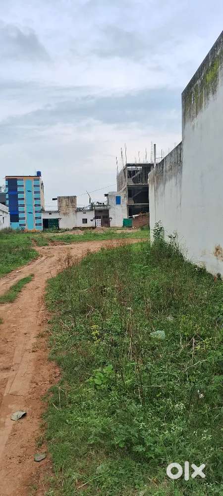 I वांटेड तो सेल माय प्लॉट अति गौठाना urgent