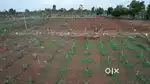 AROMA SANDOLO Maintenance-Free Farmland in Gauribidanur JUST -349 RS