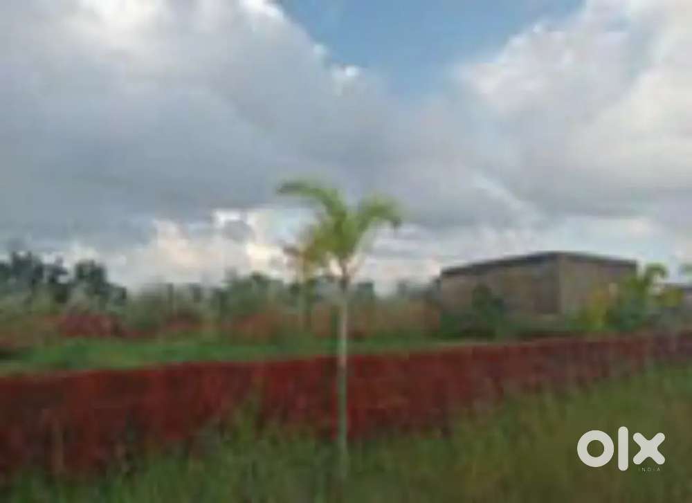Plot for sale in Bhubaneswar patrapada yellow zone gharabari plot