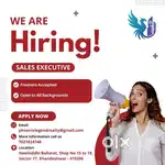 Sales Executive