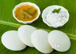 Required an Experienced South Indian Cook
