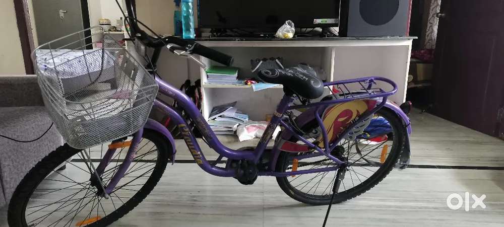 Action  New Cycle