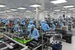 Need 15 candidate Fresher and experienced boys and girls
