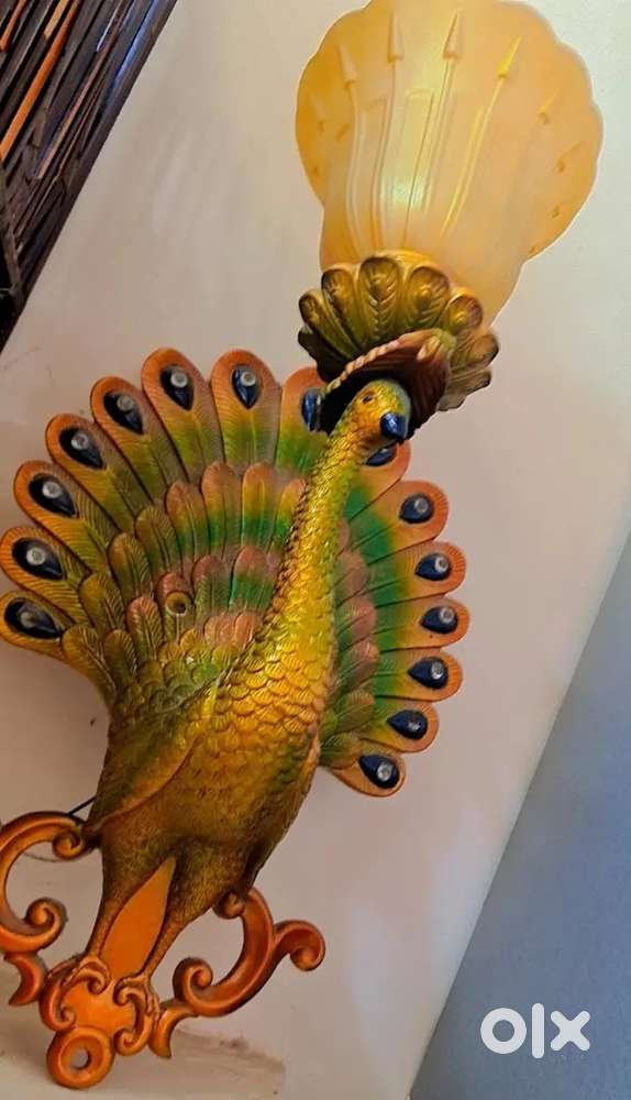 Fancy light peacock style