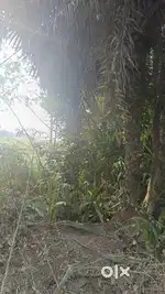 Land available for construction of Weekend Home, Farmhouse, Khamarbari