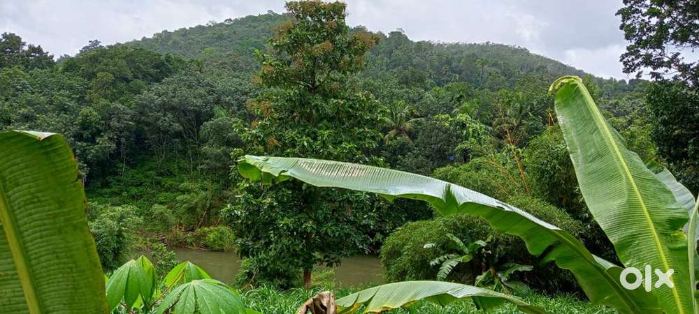 Prime river side 65 cents of land for sale