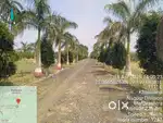 URGENT plot for sale