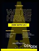 COLLECTION EXECUTIVE