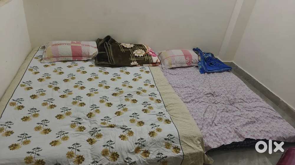 I need female roommate