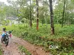 മീനടം 21 cent house plot.65000 rs.