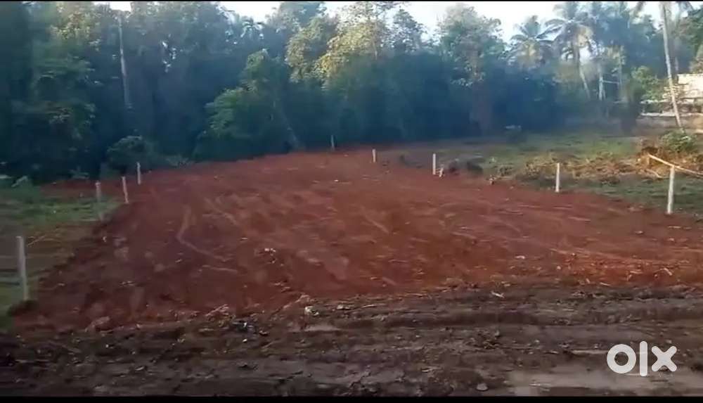 15 സെന്റ് സ്ഥലം