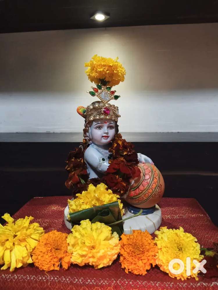 Commercial Shop For Sale In B cabin Naupada