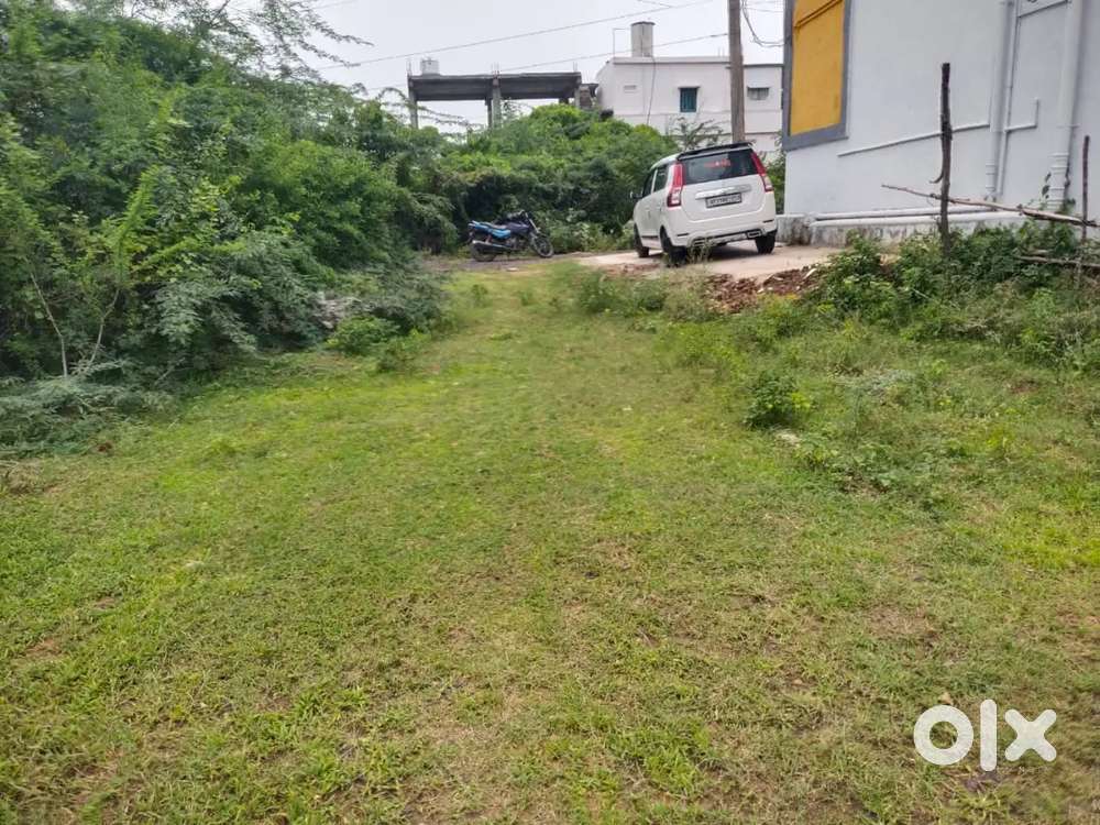 West Face Open Land Sale in Seshagiri Layout in Satrampadu