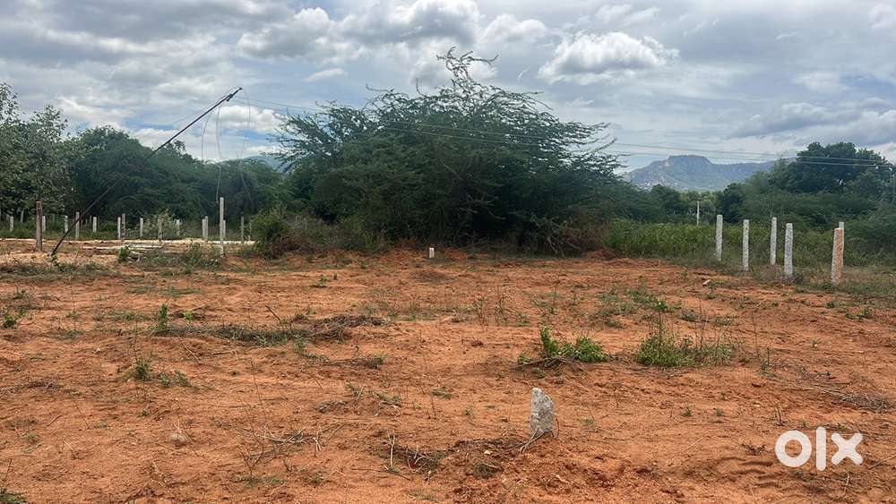 TIRUPATHI DAMINEEDU BHANU GREEN CITY TUDA APPROVAL LAYOUT WEST SOUTH