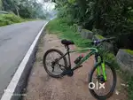 Schnell bicycle