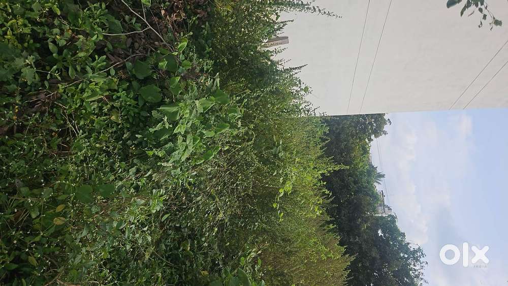 Prime Residential Plot for Sale – Sailashree Vihar, Bhubaneswar