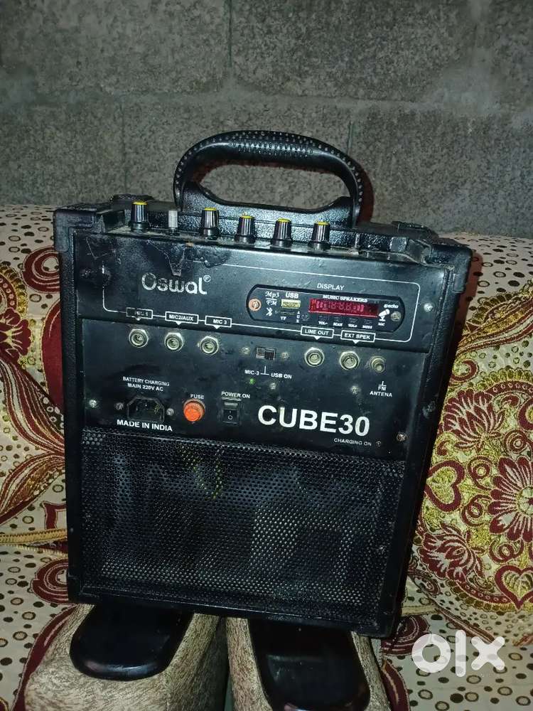 Guitar amplifier speaker