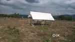 Surapet Land for Rent