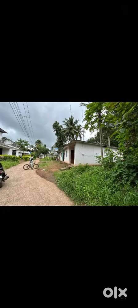 7 cent plot for sale, Near Kechery GLPS school, perumannu