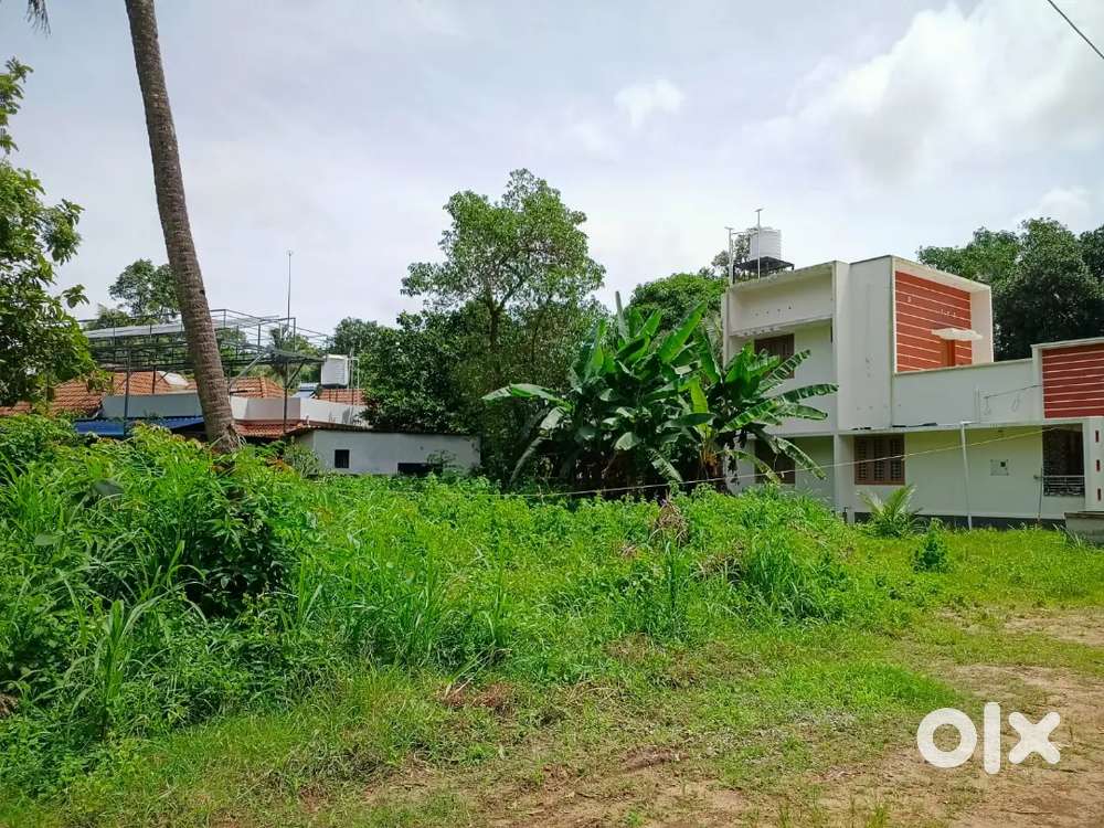 PATTATHANAM, KOLLAM, 8 CENT, DRY LAND FOR SALE.
