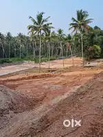 House plotes near chempazhanthi
