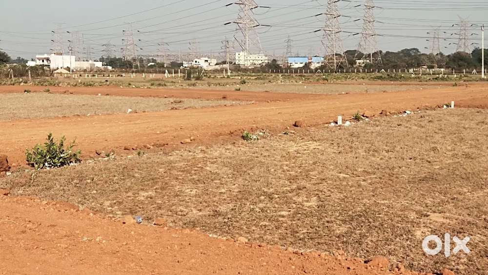 Diverted Plots Invest And Residence Near Acc Jamul Bhilai !!!