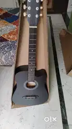 Intern Acoustic Guitar (Brand New)