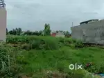 Beautiful plot