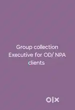 Collection Executive