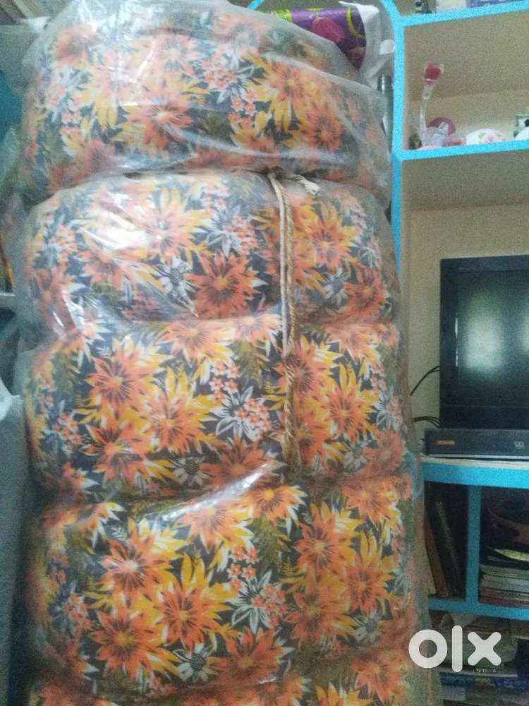 Illam panji at cheapest price brand new