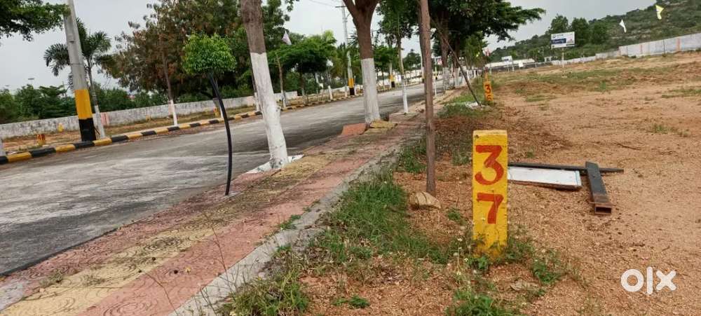 Lotus infra projects