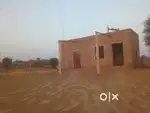 A Farm house of 40 Bigga land at Hamera village