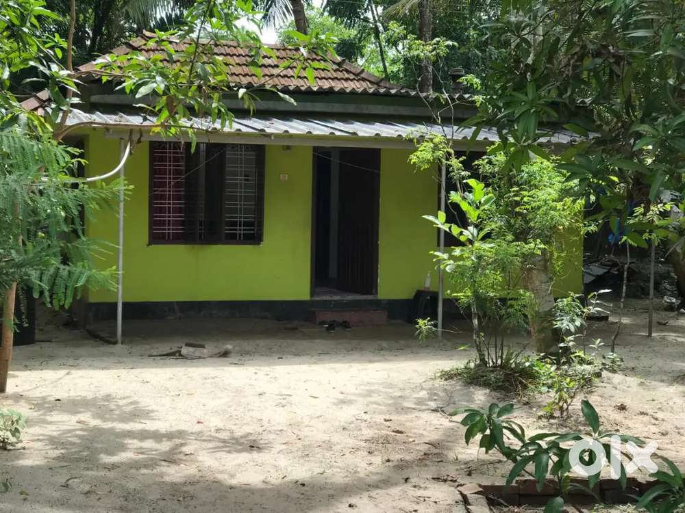 House near Thuravoor