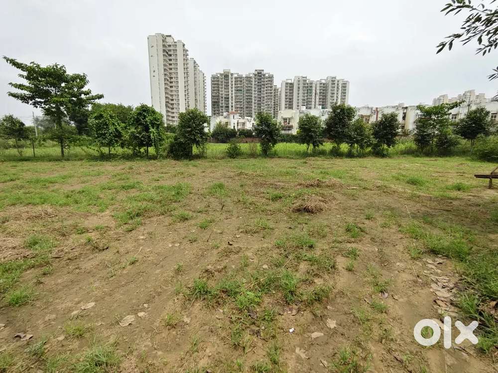 Room Open plot/Land warehouse for rent in sec-84, Gurgaon