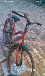 Avon cycle