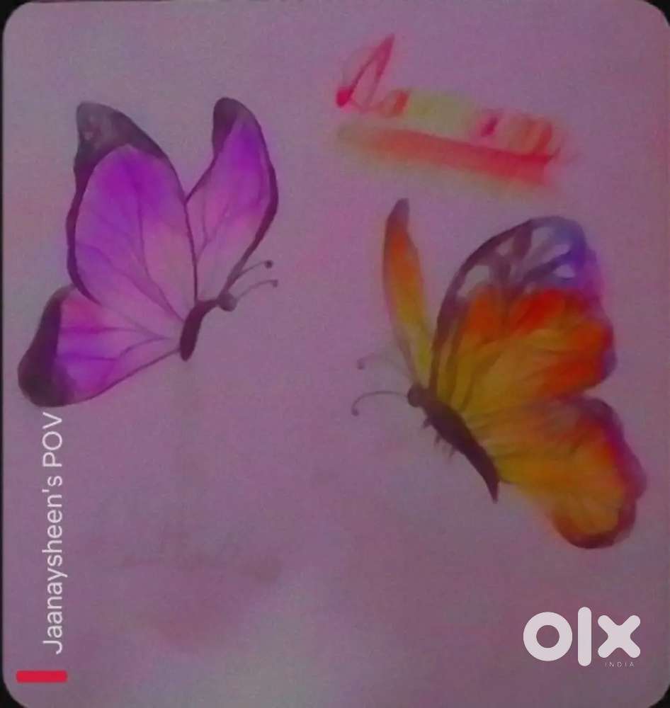 Shading too ciut butterflies