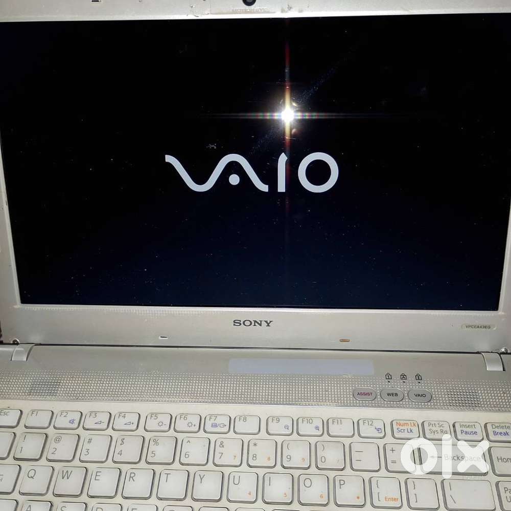 Sony vaio model PCG-61321W