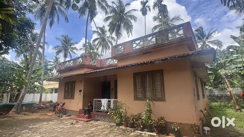Urgent Sale (House & Plot)