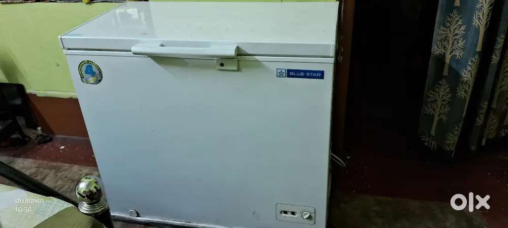 Blue Star 200 litre capacity deep storage freeze
